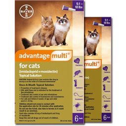 Advantage Multi for Cats 9.1-18 lbs 12 Month